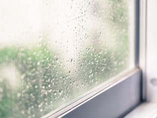 Closeup of rain drops on window glass