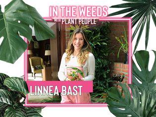 Linnea Bast for In the Weeds With Plant People